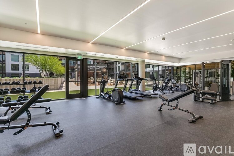 A gym with various exercise equipment and a green tree visible through the windows.