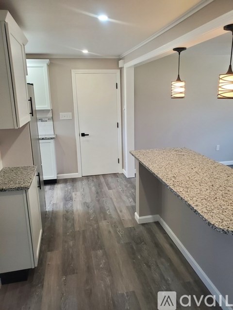 A kitchen with a counter and cabinets.