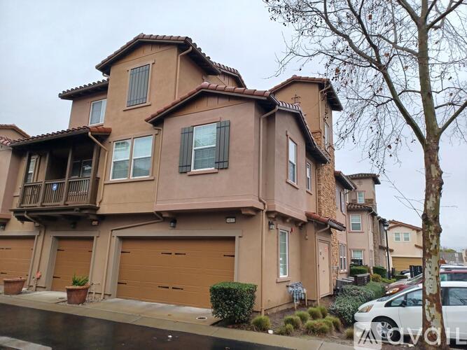 34132 Spezia Terrace 3 Beds Single Family Home for Rent - Photo gallery 3