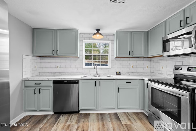 528 France Lane 3 Beds Single Family Home for Rent - Photo gallery 2