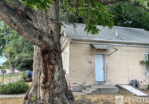 A tree is growing out of the side of a house.