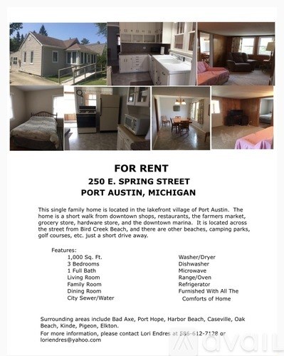 A flyer for a rental property at 250 E. Spring Street in Port Austin, Michigan, featuring a collage of photos of the interior and exterior of the home.