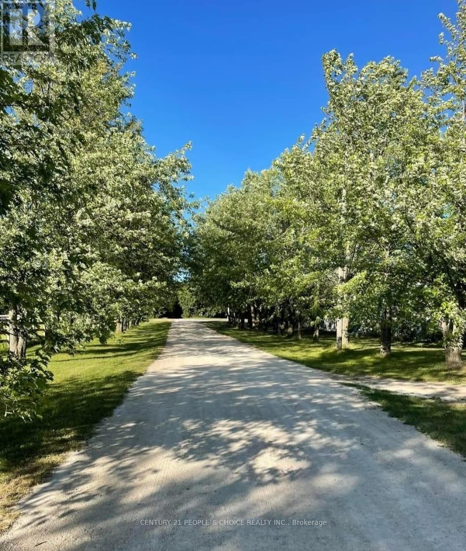 BARN AND ARENA - 18743 ST ANDREWS ROAD N Studio House for Rent - Photo gallery 3