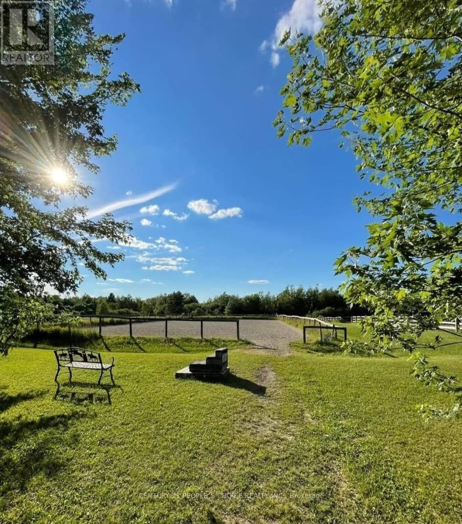 BARN AND ARENA - 18743 ST ANDREWS ROAD N Studio House for Rent - Photo gallery 4