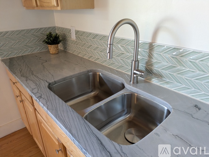 A kitchen counter with a sink and a plant on it.