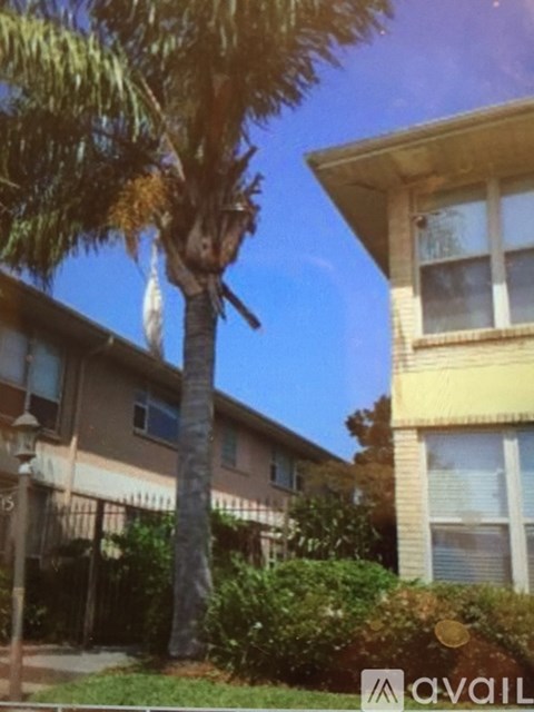 A palm tree stands in front of a building with a sign that says "AVAIL".