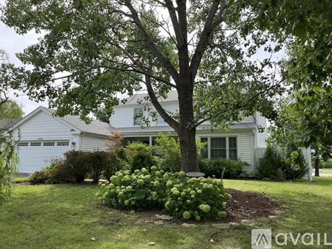 402 Magnolia Drive 4 Beds Apartment for Rent