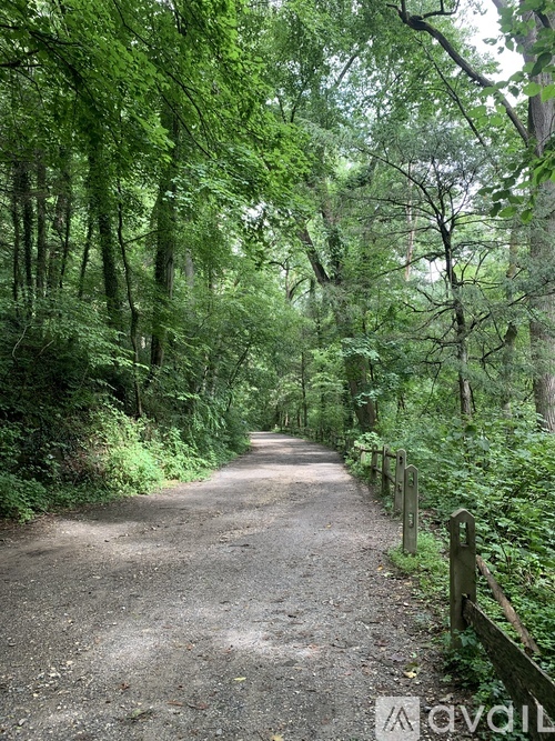 A dirt road leads through a forest with green trees on both sides.
