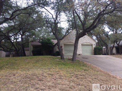 A tree in front of a house with a driveway.
