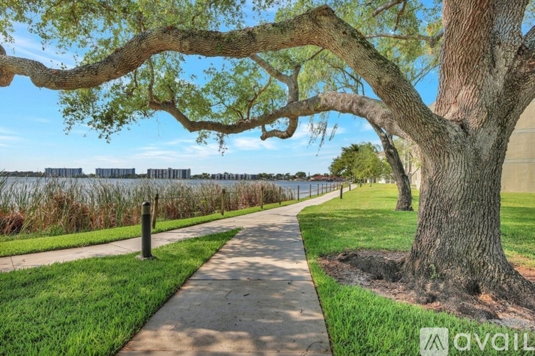A tree with a thick trunk and branches overhanging a concrete walkway.