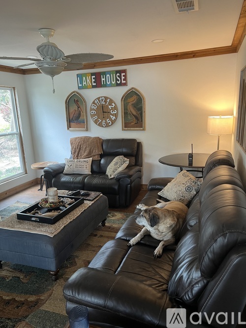 A dog is sitting on a black leather couch in a living room.