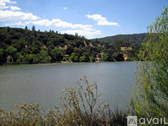 A lake surrounded by trees and hills.