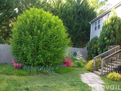 A green tree in a garden with a wooden staircase.