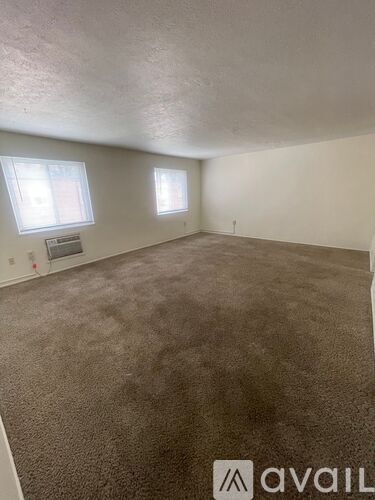 A room with carpeted floor and two windows.