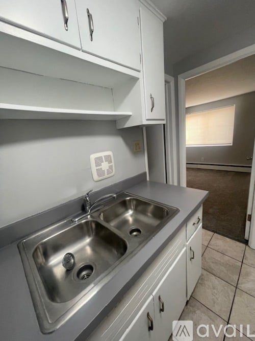 A kitchen with a sink and cabinets.