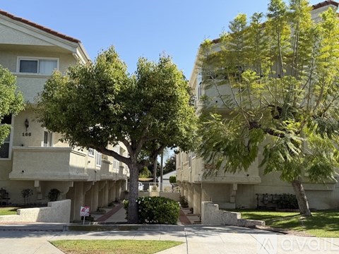162 California Street 3 Beds Apartment for Rent