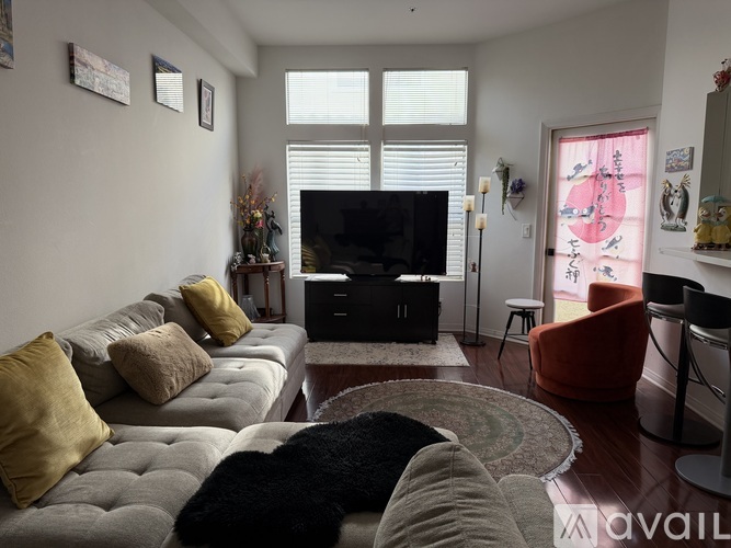 A living room with a grey couch, a black cat, and a television.