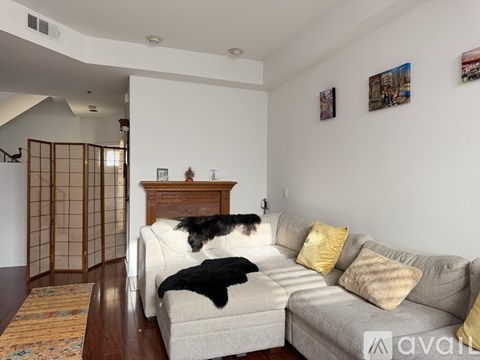 A living room with a couch and a dog on it.