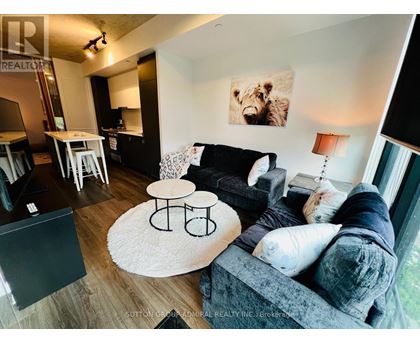 A living room with a grey couch and a white rug.