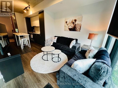 A living room with a grey couch and a white rug.