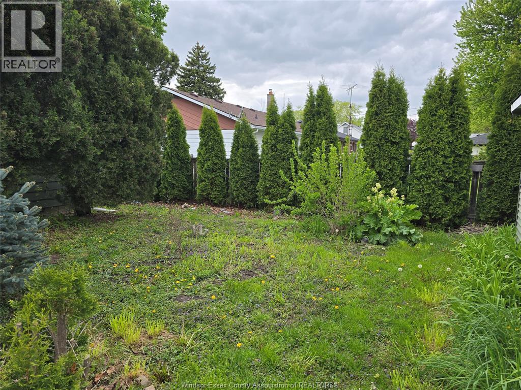 A backyard with a grassy area and a row of trees.