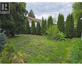 A backyard with a grassy area and a row of trees.