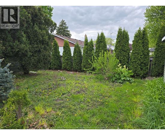 A backyard with a grassy area and a row of trees.