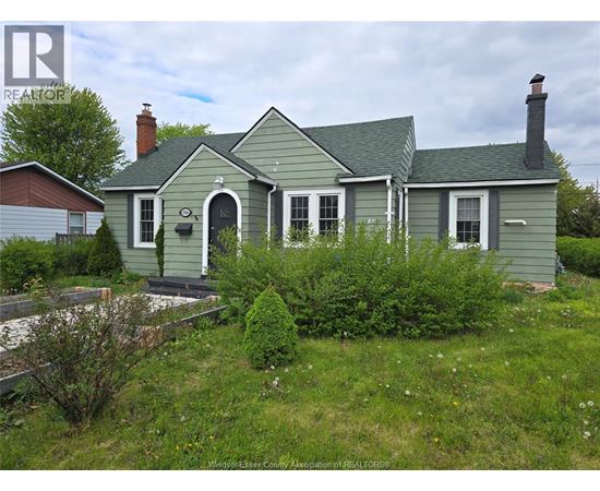 A green house with a grey roof and a chimney is surrounded by greenery.