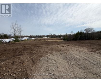 A large, empty plot of land with a dirt ground and sparse vegetation.