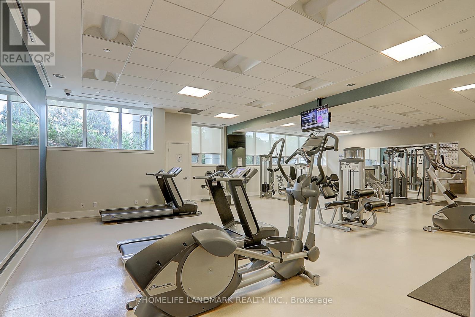 A gym with a variety of equipment including treadmills, elliptical machines, and weight machines.