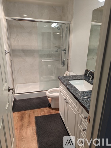 A bathroom with a walk-in shower and a toilet.