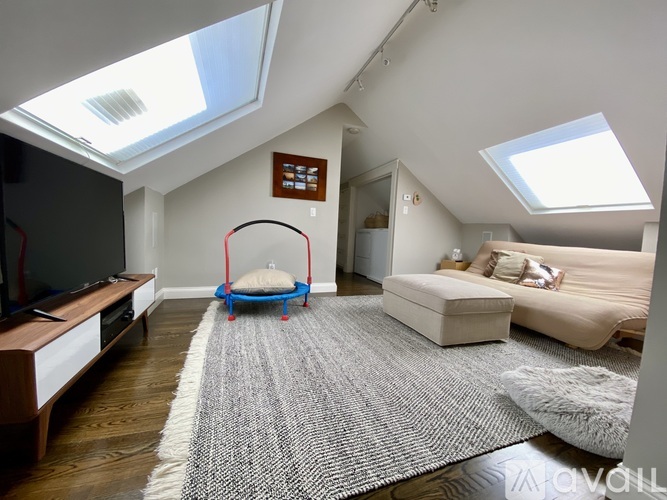 A living room with a grey rug and a blue swing.