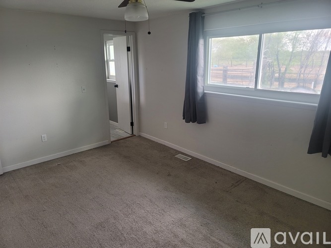 A room with a carpeted floor, a ceiling fan, and a window with a view of a fence and trees outside.