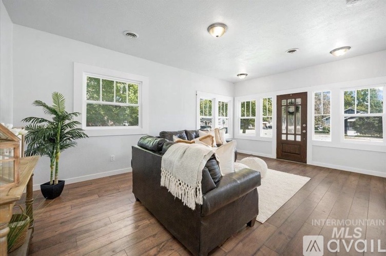 A living room with a couch and a potted plant.