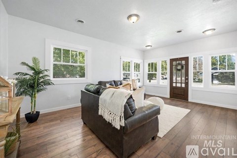A living room with a couch and a potted plant.
