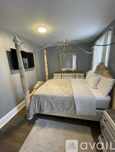A bedroom with a canopy bed and a dresser.