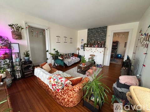A living room with a sofa and a potted plant.