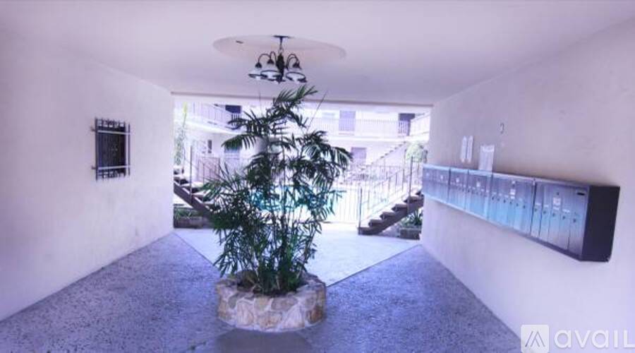A room with a plant in the middle and a wall with a row of switches.