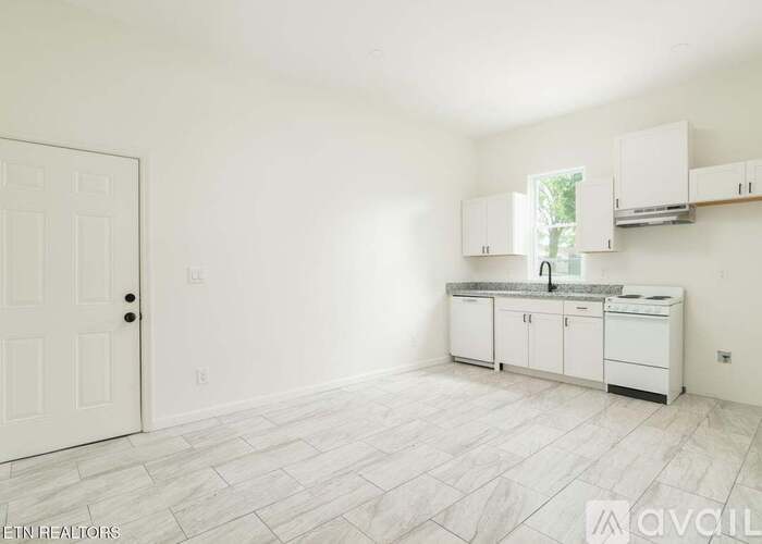 A white kitchen with a sink and cabinets.