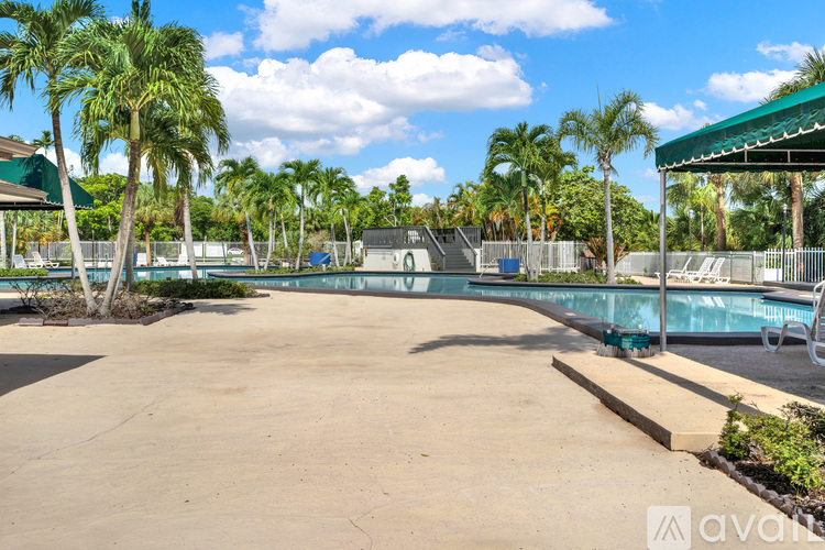 A sunny day at the pool with palm trees and a clear blue sky.