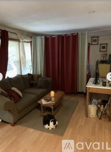 A cat is sitting on the floor in front of a sofa.