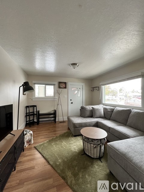 A living room with a grey couch and a green rug.