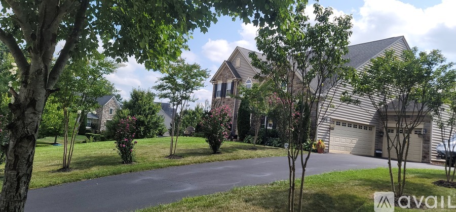 A house with a driveway and trees in front of it.