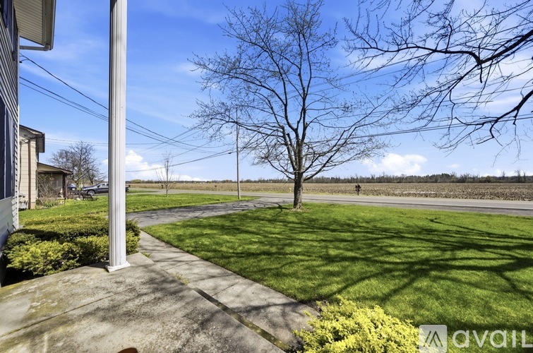 A leafless tree stands in a grassy area next to a sidewalk.