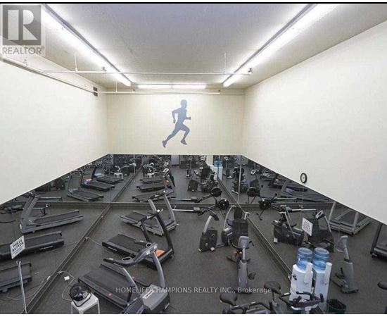 A gym with treadmills and exercise equipment.