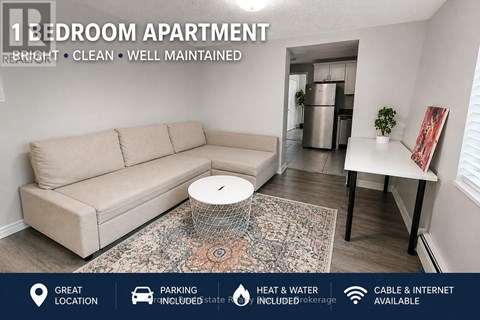 A well-lit, clean, and well-maintained 1 bedroom apartment with a couch, a small table, and a rug in the living room.