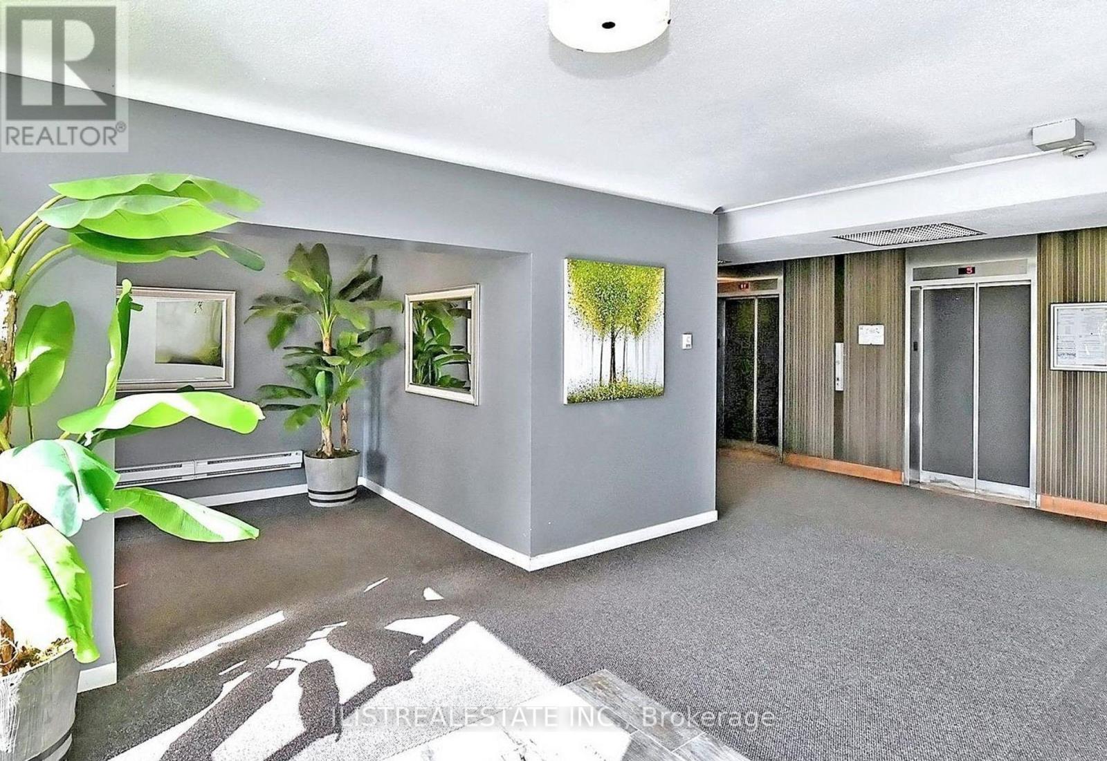A room with grey walls and a plant on the left side.