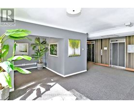 A room with grey walls and a plant on the left side.