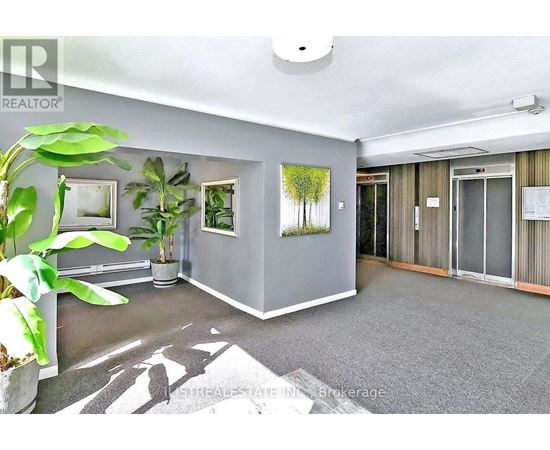 A room with grey walls and a plant on the left side.