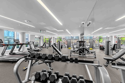 A gym with a variety of equipment including treadmills, weights, and exercise machines.